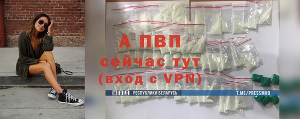 дживик Краснослободск