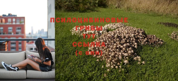 герыч Верхний Тагил