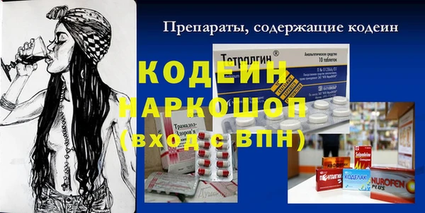 хмурый Богородицк