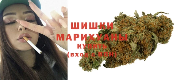 спиды Богородск