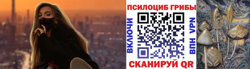 Псилоцибиновые грибы GOLDEN TEACHER  Ворсма 